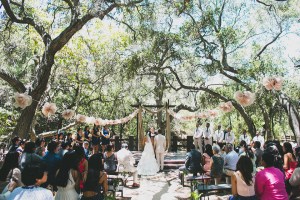 ozzie_nikki_wed_0252