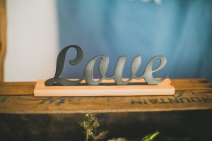 ozzie_nikki_wed_0634