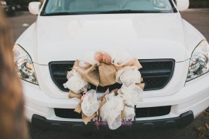 ozzie_nikki_wed_0944